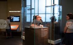 Геномно изследване хвърля светлина върху периода след падането на Западната Римска империя