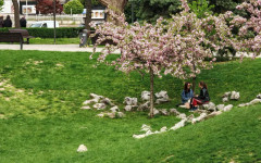 Внимание: Жълт код за слани утре сутрин