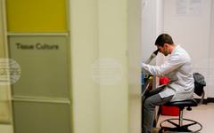 Учените откриха нов генетичен механизъм, свързан с развитието на рак