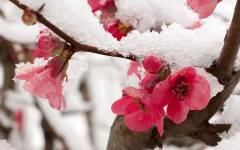 Майски сняг. Симеон Матев стресна с прогноза