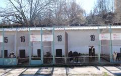 Рекорден брой кучета - над 350, са осиновени от приюта в Благоевград