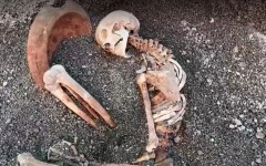 Археолози възстановиха външния вид на жертва на изригването на Везувий