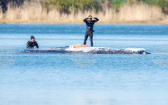 Баржа, която ще се опита да спаси заседналия в Балтийско море гърбат кит, навлезе в Килския канал