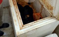 БАБХ затвори заведение за бързо хранене в Пазарджик заради лоша хигиена