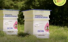 DEVIN Изворна с трето злато за чистота и биоразнообразие около извора си