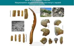 Доц. Мария Гюрова от Националния археологически институт с музей ще изнесе лекция за балканския флинт и неолитните кремъчни ансамбли от България