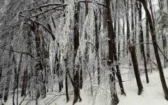 Сняг заваля на "Петрохан", снегорини са на място