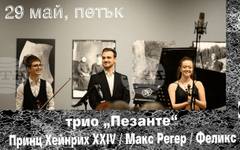 Нов симфоничен оркестър представя камерна вечер с трио "Пезанте"