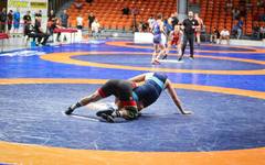 Петима българи ще участват в първия ден на Евро 2026 по борба за кадети в Самоков