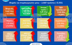 Повечето зеленчуци поевтиняват на борсите у нас тази седмица, докато плодовете поскъпват, сочат данните на ДКСБТ