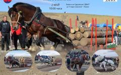 Най-силните коне от цялата страна пристигат в Разлог за шампионат