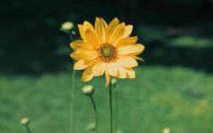 От минус 3 до плюс 35 градуса: Какво време ни очаква през май