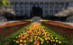 Националната библиотека "Св. св. Кирил и Методий" ще връчи ежегодните си награди на 11 май