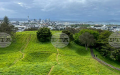 Индия и Нова Зеландия подписаха споразумение за свободна търговия