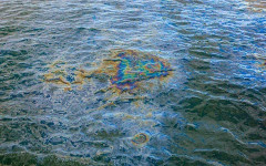 Нов кошмар в Черно море! Появи се петно от слънчогледово масло