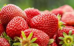 Вкусни и полезни: Защо ягодите са суперхрана за тялото и мозъка