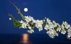 Пълна Цветна луна изгрява в небето на 1 май