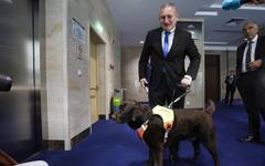 За първи път ще има куче водач в парламента
