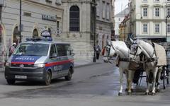 АПА: В Австрия се увеличават престъпленията с крайнодесен и ислямистки характер, предупредиха властите