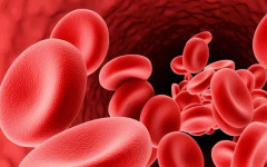 Научен пробив разкрива нови стратегии за лечение на анемия чрез регулиране на желязото