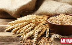 Зърнопроизводителите обмислят протести след изборите