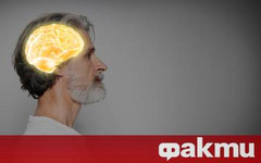 Чувството, че мозъкът ви функционира по-зле с възрастта, не винаги е свързано с деменция