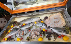 Турция е конфискувала 550 тона риба и аквакултури, както и 84 незаконни риболовни кораба през 2025 г.