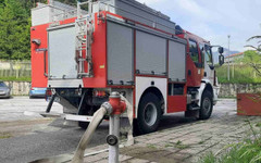 Пожарникари спасиха сърна паднала в река Черна в Смолян