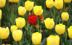 Слънце и дъжд се редуват