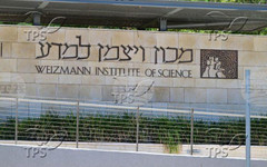 ТПС: Колониите на мравките вдъхновяват роботиката от следващо поколение и изследванията на самоизграждащите се структури