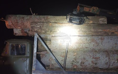 Горски инспектори са задържали автомобил с незаконна дървесина край самоковското село Говедарци