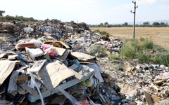Столичната община започва разчистване на нерегламентирано сметище в землището край езерата на село Долни Богров