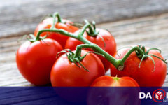 Рязък скок през последните 45 дни: Доматите поскъпват с над 60% (ВИДЕО)