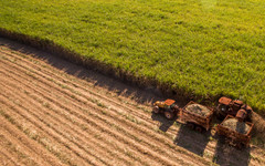 На изток от рая или защо българското земеделие е в девета глуха