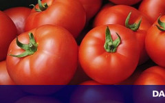 Румънски домати по 20 евро: Невиждани цени преди пика на сезона