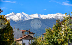 Прогноза за времето