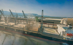 Агресивна руска конкуренция влияе над европейския зърнен пазар - какво е състоянието на сектора у нас?