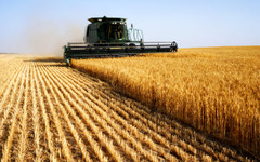 Властта дава на земеделците още 0,09 евро отстъпка на литър от акциза за газьола за 2025 г.