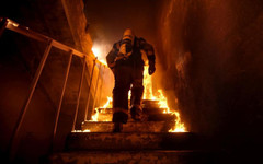 Потушени са 60 пожара през изминалото денонощие, има един пострадал