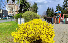 Културен петък в Кюстендил събира памет, изкуство и театър