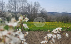 Публичен търг за отдаване под аренда на близо 4000 дка земеделски земи обяви Община Търговище