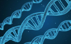 Учени успяха да неутрализират генетичната причина за синдрома на Даун