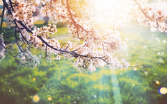 Какво ще е времето в изборния ден и през следващата седмица