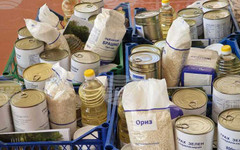 Над 75 процента от предвидените хранителни продукти за уязвими групи граждани в област Разград по програмата на БЧК вече са раздадени