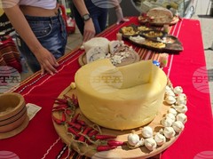 Втори фестивал на българското сирене и млечни продукти се подготвя за 2 и 3 май във Враца