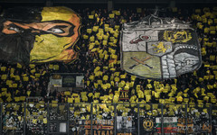 КПБП: Канари, гответе се за дербита! Мощни песни, факли и дим - Ботев непобедим!