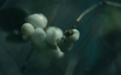 Летящи насекоми и хищник се оказват потенциалните - и доста стряскащи - обитатели на Марс