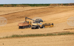 Националната асоциация на зърнопроизводителите настоява за незабавни мерки за сектора на фона на задълбочаващата се криза
