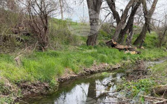 Община Костинброд продължава с почистването на реките