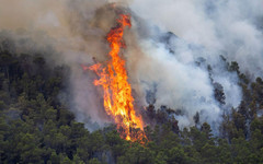Индонезия започна мащабни учения за реакция при горски пожари